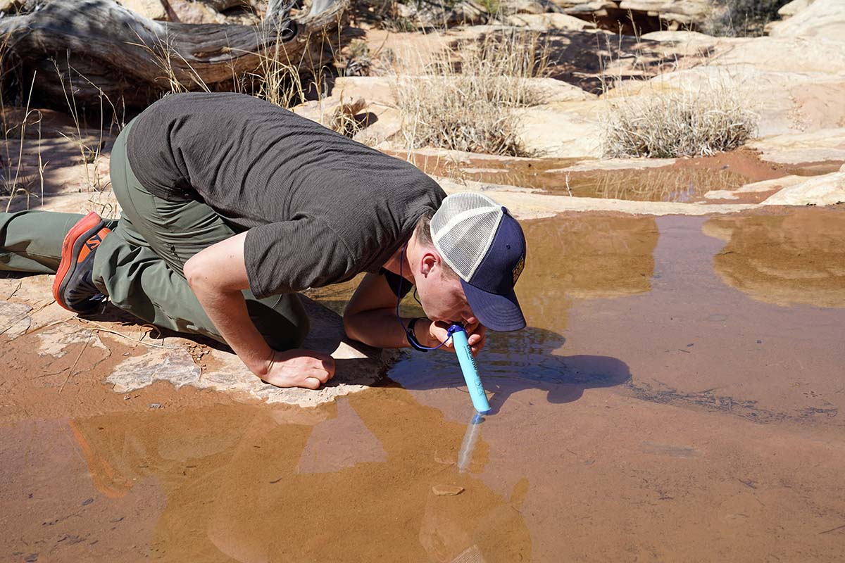 Water filter (LifeStraw straw filter)